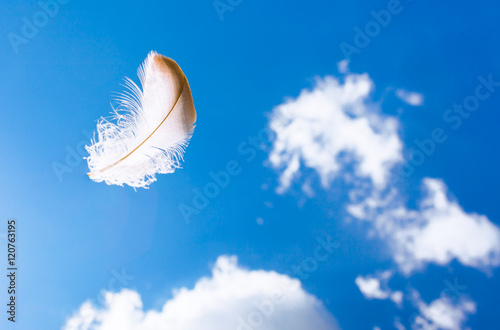 Peaceful and relaxing concept. Feather floating in the sky.