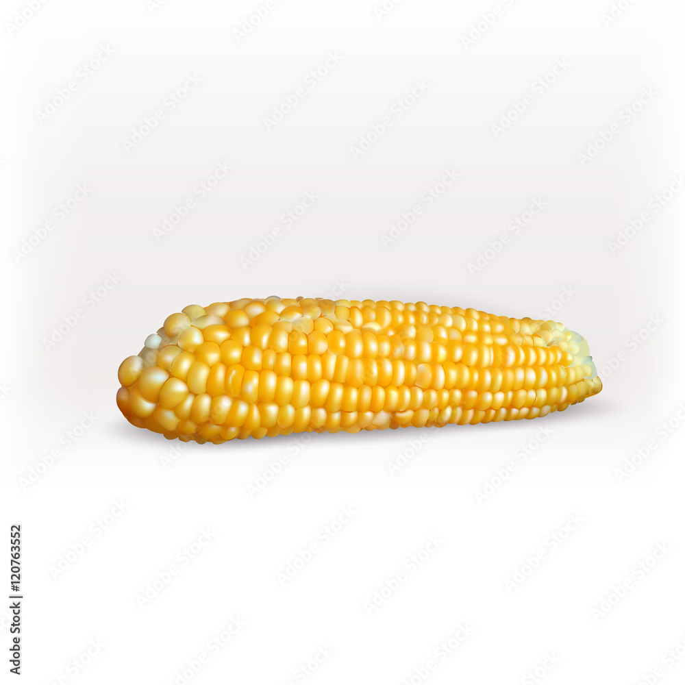 Yellow corn cob vector icon Yellow corn cob vector icon