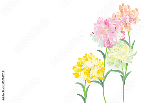 four pink yellow red green flowers circle bouquet on white background vector illustration greeting card for object or background template