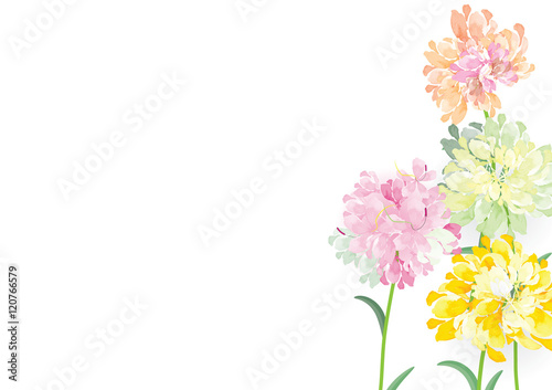 four pink yellow red green flowers circle bouquet on white background,vector illustration,greeting card for object or background template
