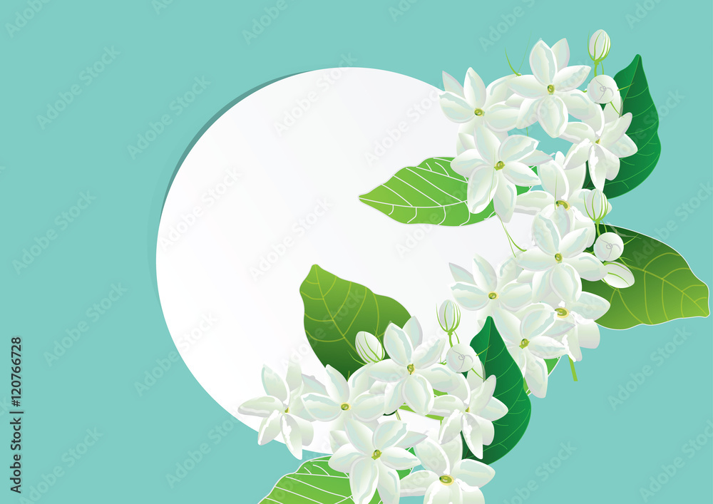template white paper circle shape cover outside with jasmine flower .Crown jasmine flowers with