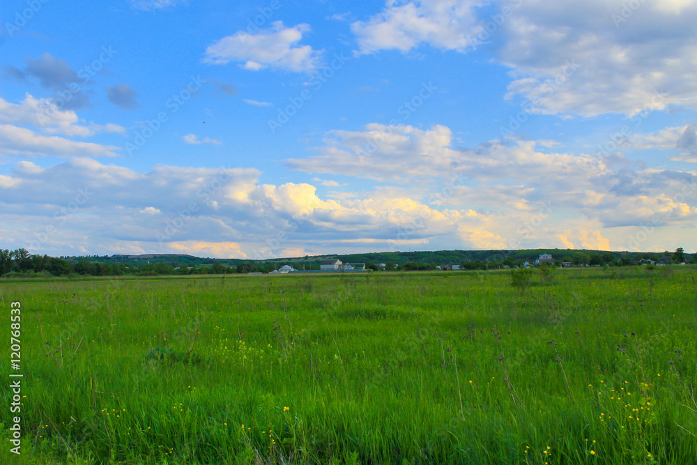 Green meadow and blue sky