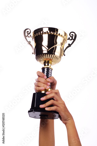 a hand holding a throphy