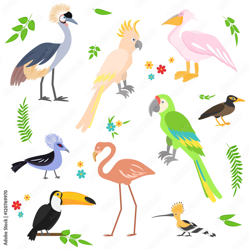 Naklejka premium Colorful icons birds. Tropical birds collection.