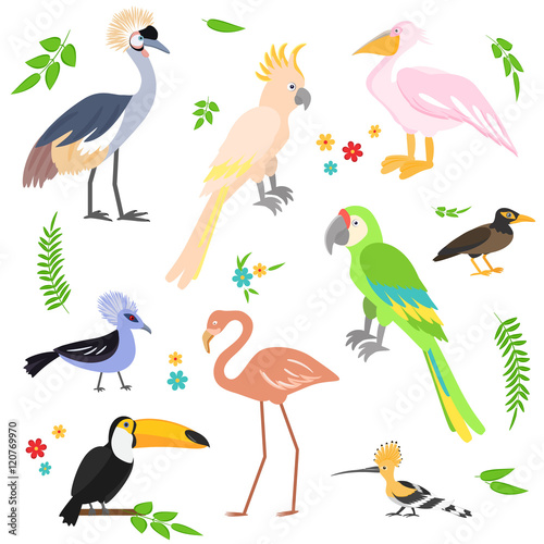 Colorful icons birds. Tropical birds collection.