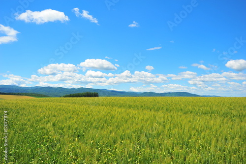 Landscapes of Countryside in Hokkaido, Japan