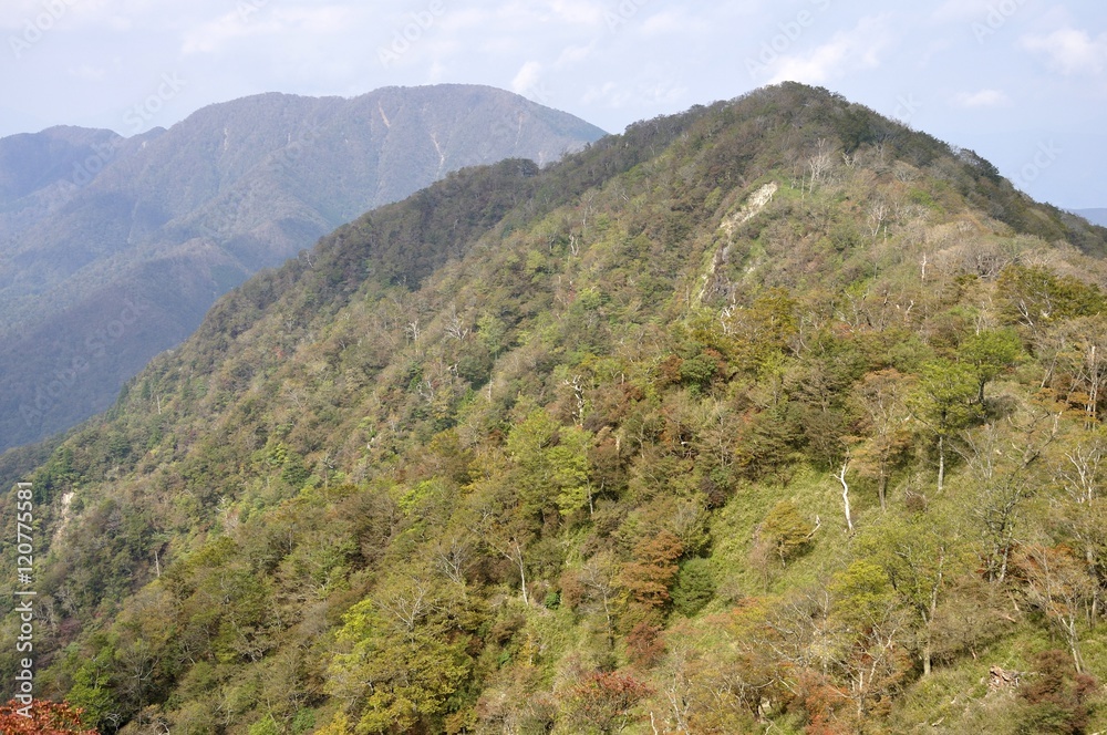 丹沢 紅葉の熊笹ノ峰
丹沢 紅葉の熊笹ノ峰