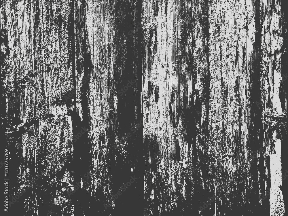 Fototapeta premium Grunge white and black background, texture.