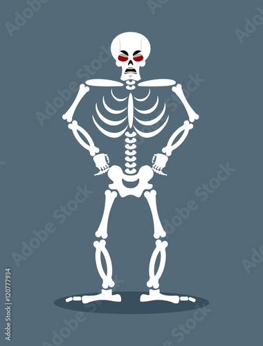 Angry skeleton. Aggressive dead. Evil skull and bones.