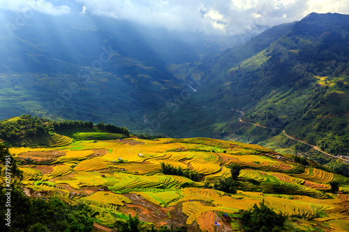 Beautiful terraced rice fields in Vietnam