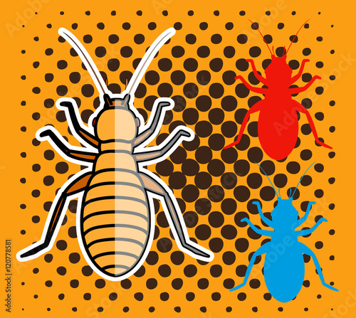 Louse Insects