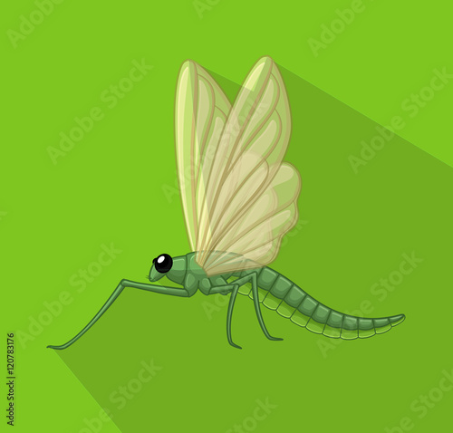 Dragonfly Insect