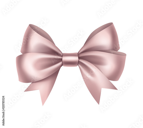 Shiny Light Pink Satin Gift Bow Isolated