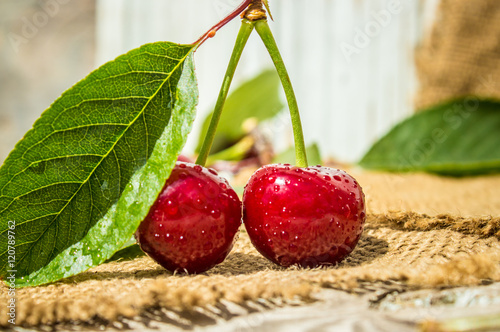 ripe red cherries. 