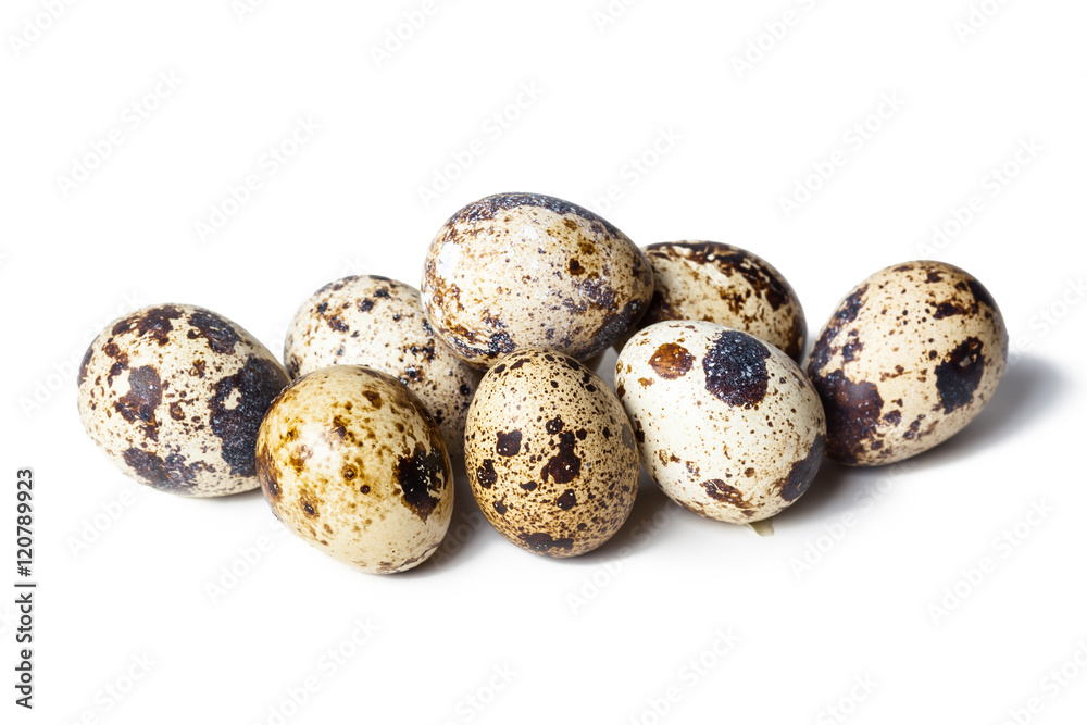 Quail eggs are isolated on a white background Quail eggs are isolated on a white background