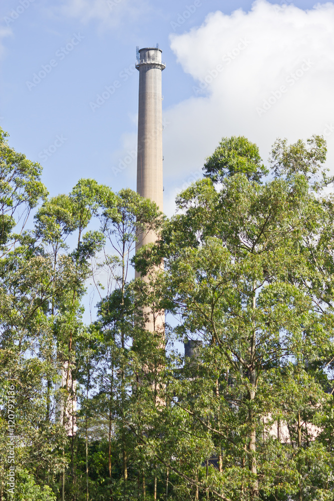Chimney in the forest