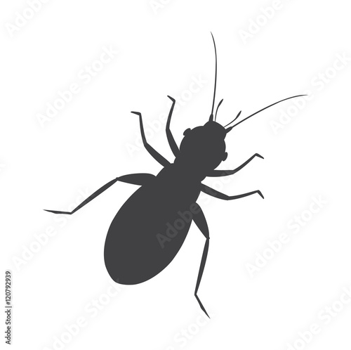 Louse Insect Silhouette