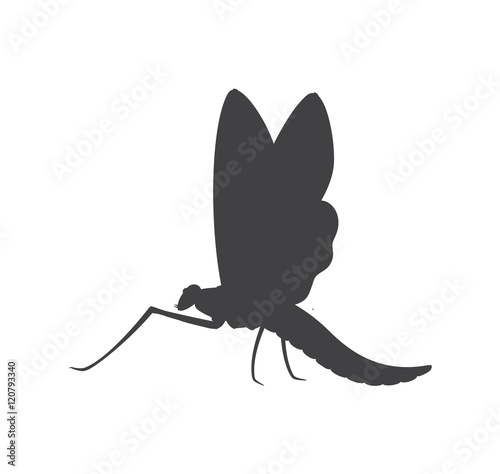 Mayfly Insect Silhouette