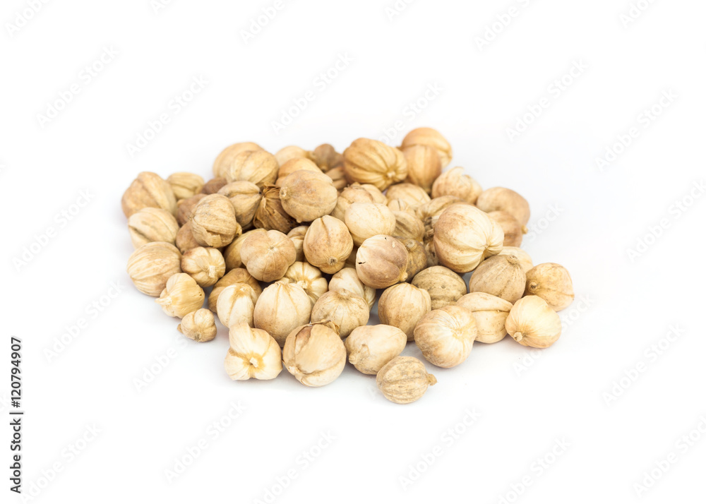 Cardamom seeds on white background