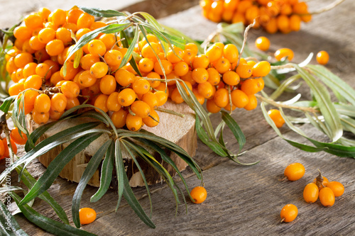 Seabuckthorn berries branch on vintage wooden background. Autumn photo