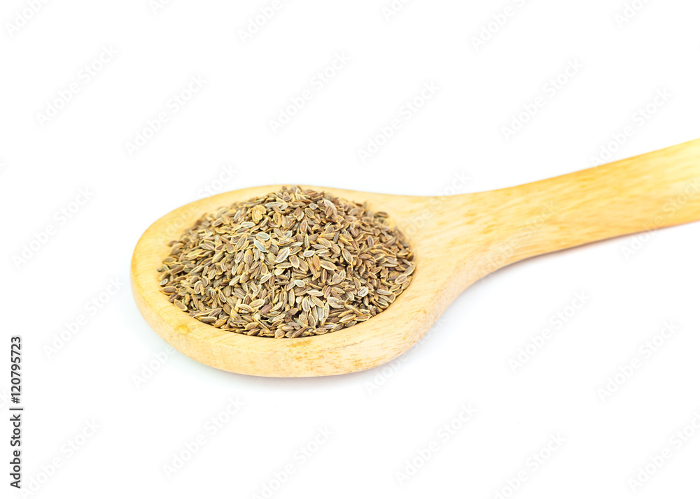 Coriander seeds on wooden spoon over white background Coriander seeds on wooden spoon over white background