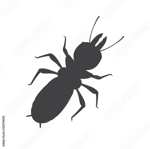 Termite Insect Silhouette Vector