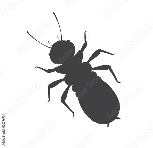 Termite Insect Vector Silhouette