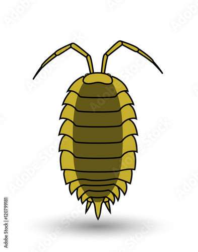 Lice Insect Vector Art