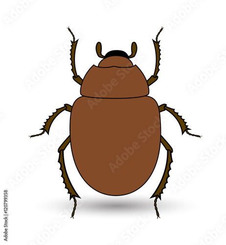 Scarab Beetle Insect Vector