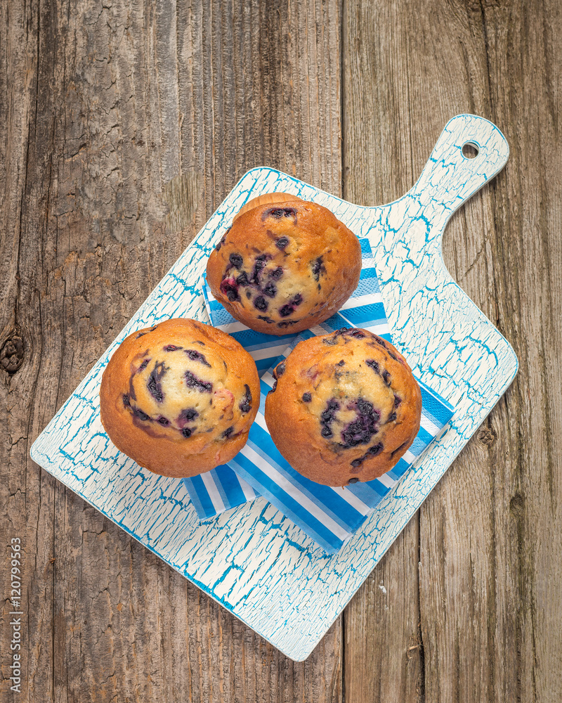 Blueberry Muffin Portrait Blueberry Muffin Portrait