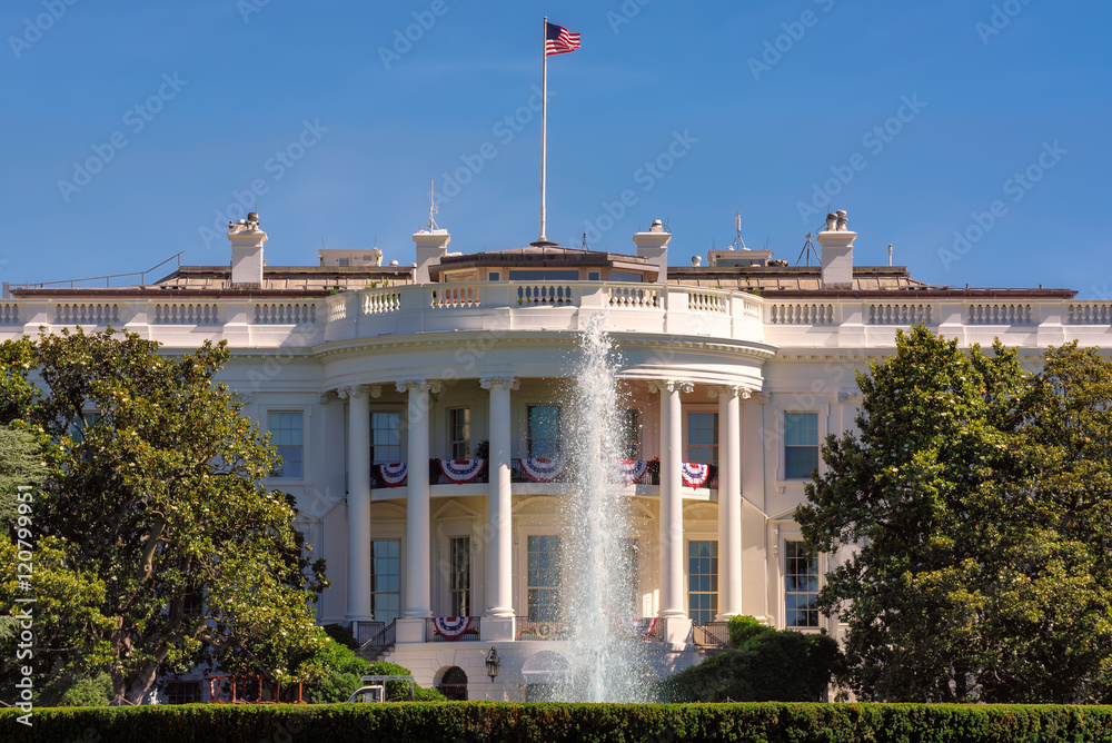 Fototapeta premium The White House in Washington DC at beautiful day, USA