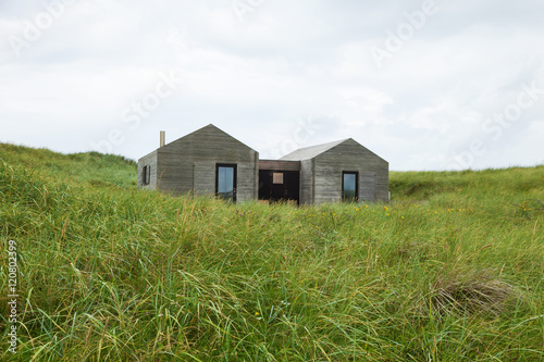 modern wooden houses surrounded by lawn