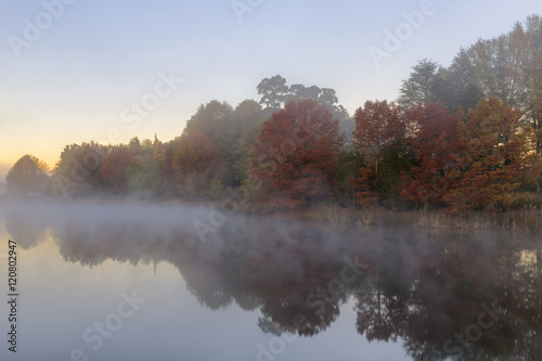 Early morning mist on the water