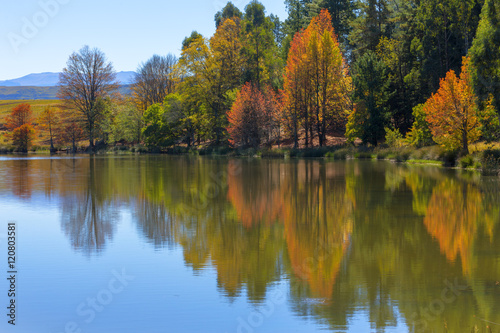 Reflection of autumn colours on the water