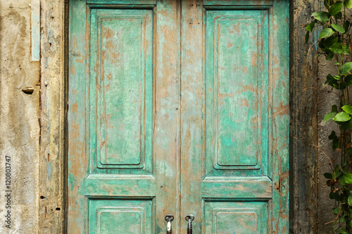 green wood door and a wall covered with green leaf