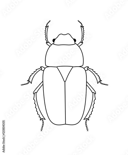 Drawing Art of Beetle Insect