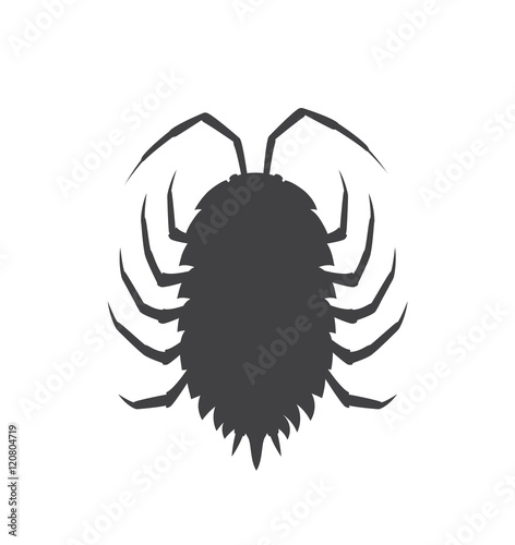 Woodlouse Insect Vector Silhouette