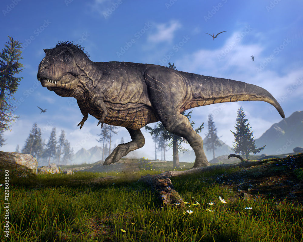Fototapeta premium Renderowanie 3D Tyrannosaurus Rex zwiadu na ofiarę w prehistorycznej Hell Creek.