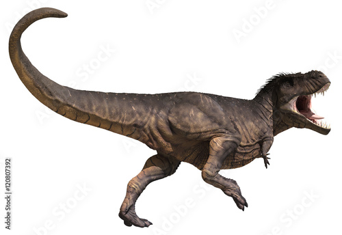 3D rendering of Tyrannosaurus Rex in a dynamic stance, isolated on white background. © Herschel Hoffmeyer