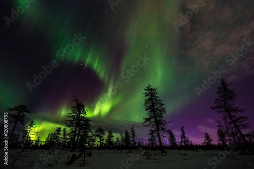 Winter night landscape with northern light over the taiga © Olonkho