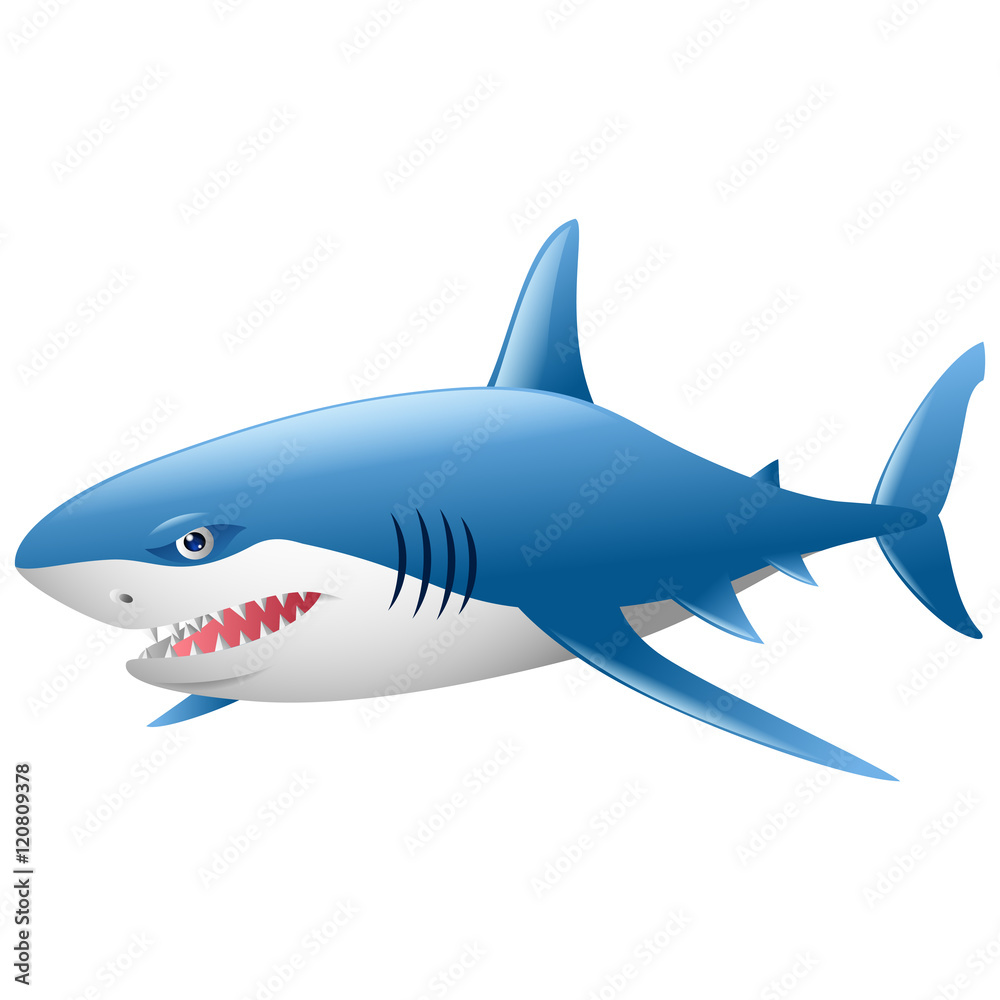 Obraz premium Wild shark on white background