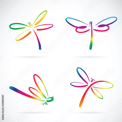 Vector group of dragonfly sketch on white background