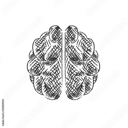 Isolated human brain sketch icon.Hand drown vector illustration.