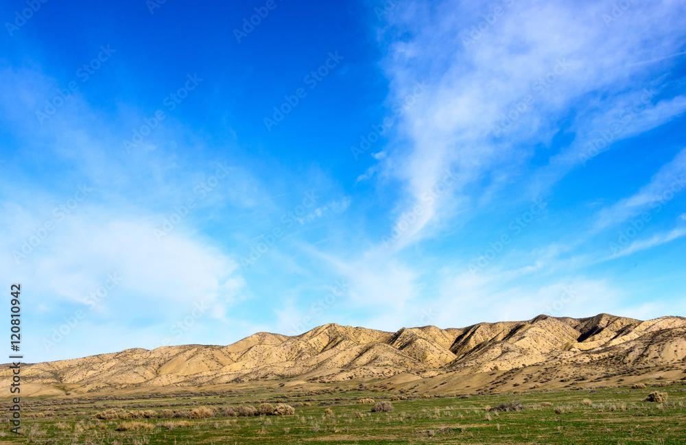 Fototapeta premium Carrizo Plain National Monument