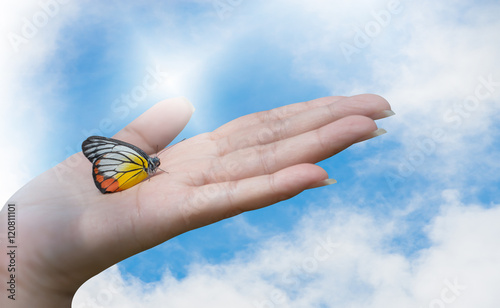 A beautiful butterfly sitting on woman's hand. Beautiful butterfly,Painted Jezebel( delias hyparete) perched on warm hand with sun ray blurred background and copy space.Save our earth,save the World