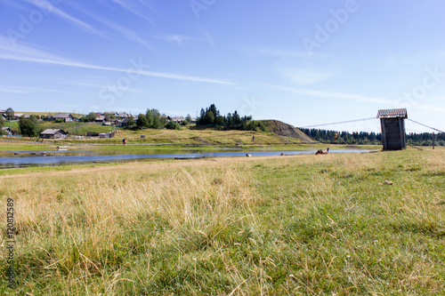 Rural landscape at summer