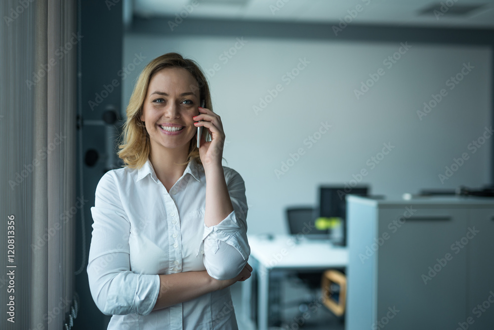 Fototapeta premium Talking with clients