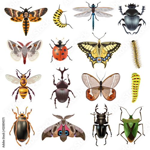  Insects Icons Set