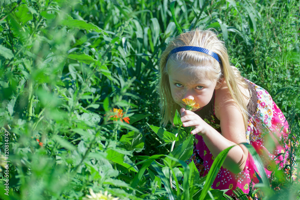 young girl smelling flowers in field young girl smelling flowers in field