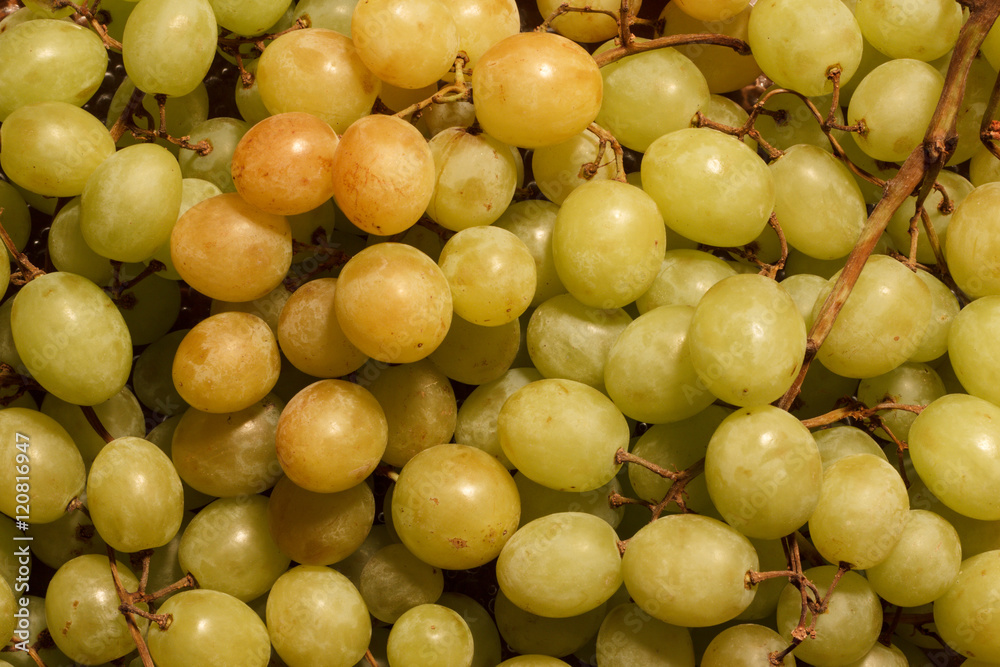 Grapes background/Horizontal close-up of grapes Grapes background/Horizontal close-up of grapes
